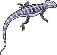 Click The Lizard Image To See A Larger Version Of Graphic