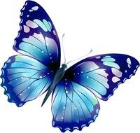 nice Blue Butterfly drawing