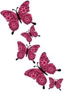 five cartoon Butterflies with Flower print on wings