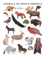 My North American Animal Print Has Been Launched As A Limited Edition