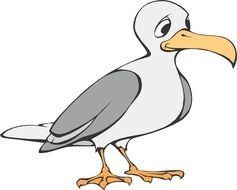 drawing of a sad seagull on a white background