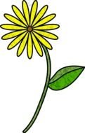 drawing of a yellow daisy with a green leaf