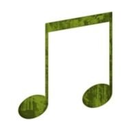 Full Set Green Grunge Icons Media Style