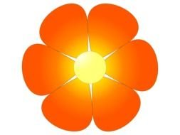 orange flower with six petals, drawing