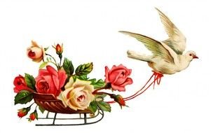 white dove drags a cart of flowers