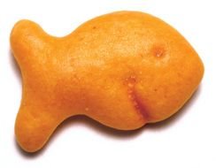 photo cookie fish