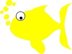 yellow fish on the white background