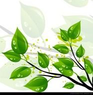 Qvectors &amp;gt Front Page &amp;187 Abstract Green Leaves Vector