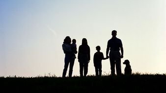 picture of the Life Insurance