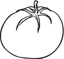 tomato Black And White drawing