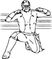 Free Download Wrestling And Vectorart Sports Hd Wallpaper N2