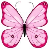 nice Pink Butterfly drawing