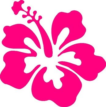 Hibiscus Fuschia At Clkercom Vector Online