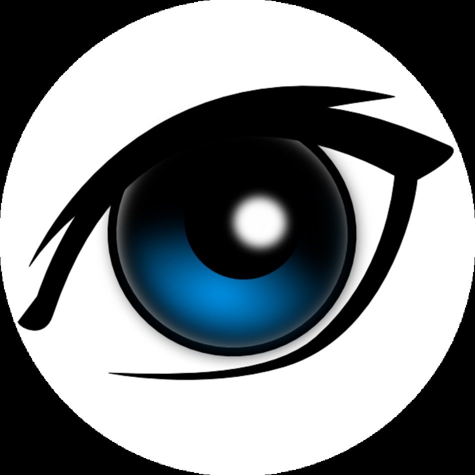Cartoon Eye At Clkercom Vector Online Royalty clipart N2