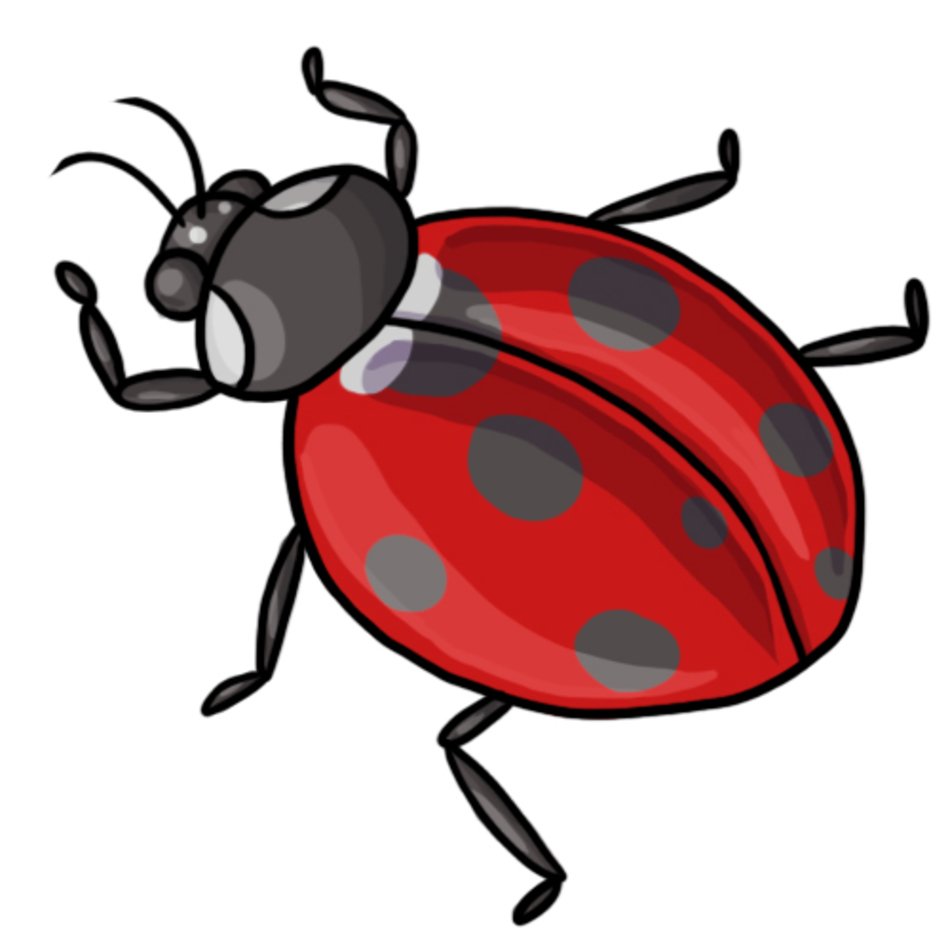 Return To Free Ladybug clipart