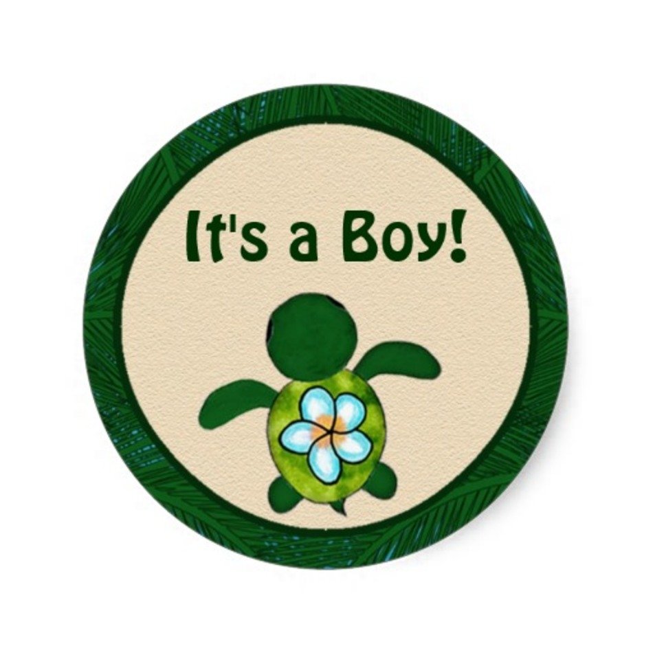 Baby Shower Turtle Boy Sea