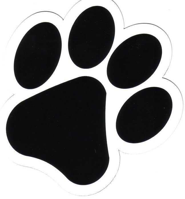 one black paw drawing