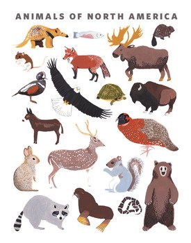 My North American Animal Print Has Been Launched As A Limited Edition