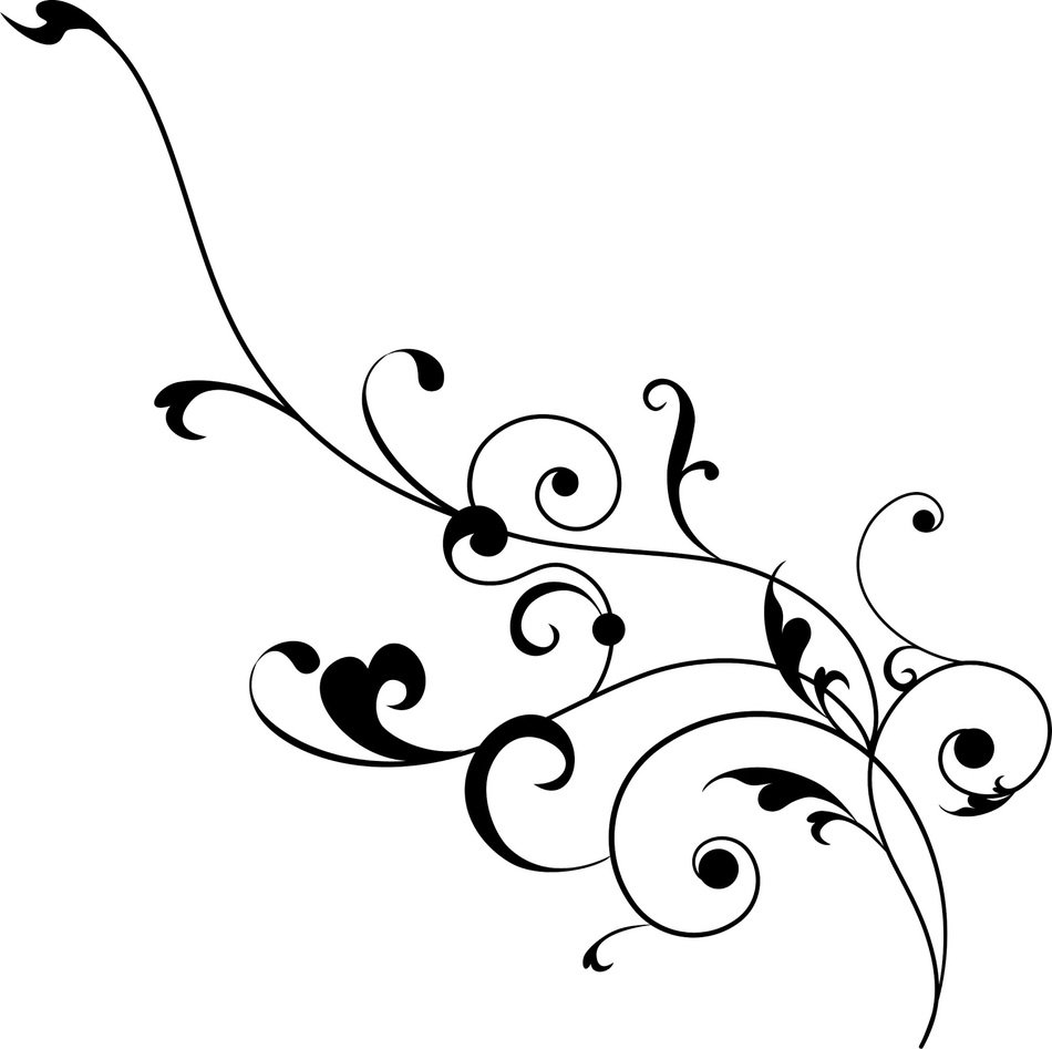 black patterned branch on a white background