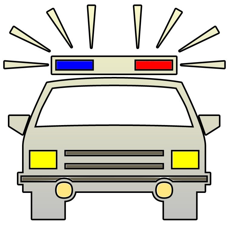 Police Station Panda Free Images