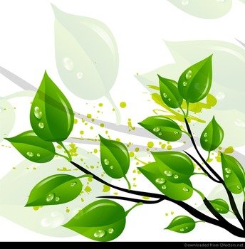Qvectors &gt Front Page &187 Abstract Green Leaves Vector