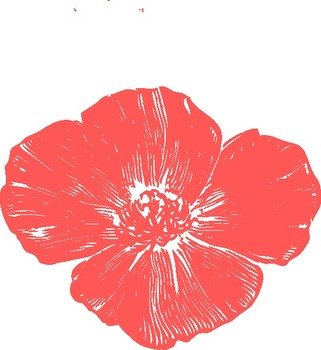Peach Poppies At Clkercom Vector Online Royalty