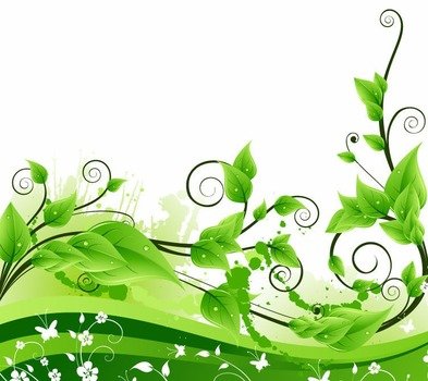 Fresh Green Floral Background Free Vector Graphics All Web