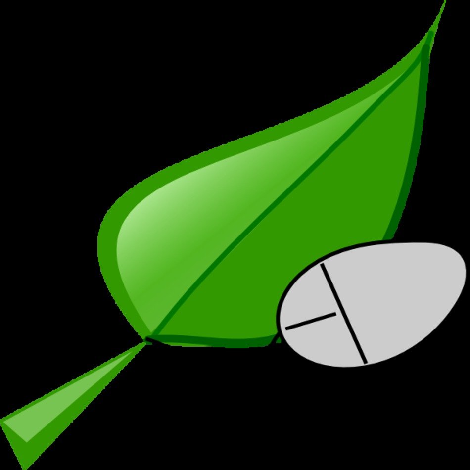 Green Mouse At Clkercom Vector Online Royalty