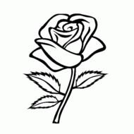 Dibujo De Rosas Para Colorear Dibujos Infantiles