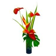hawaiian flowers in a vase