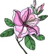 image of a flowering plant