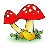 picture of red mushrooms