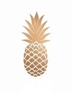 Clip art of ananas