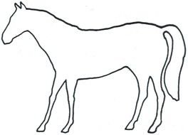 drawing horse silhouettes