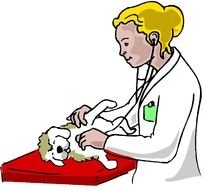 Veterinarians Pacific Animal Therapy Society