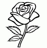 Desenhos Para Pintar De Rosas Colorir