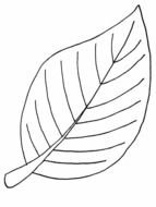 Leaf Coloring Page drawing