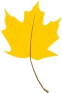 Yellow Leaves Panda drawing
