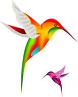 Colorful Humming Bird Birds Free Vector