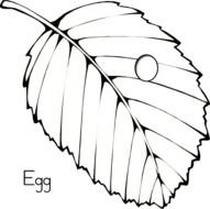 black and white drawing of a leaf from a tree