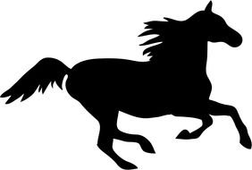 Cute Horse Black And White drawing
