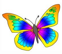 Beautiful Butterfly Images