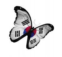 butterfly with korean flag