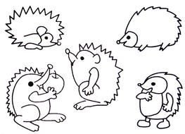 drawn of cute hedgehogs