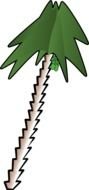 Palm Tree as a graphic illustration
