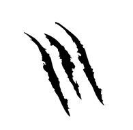 tiger claw mark