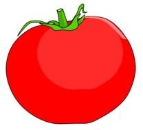 drawing of a red tomato on a black background