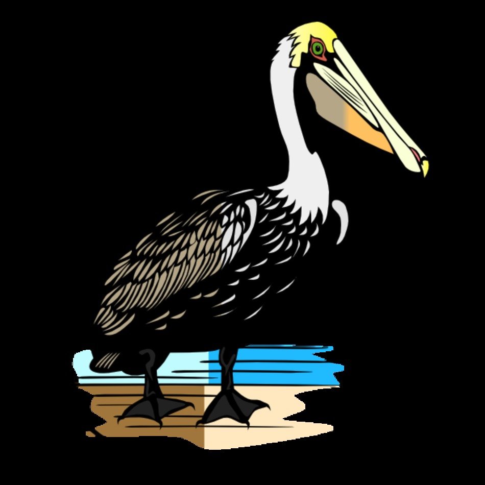 Wildlife Habitat Animal Download Vector Online