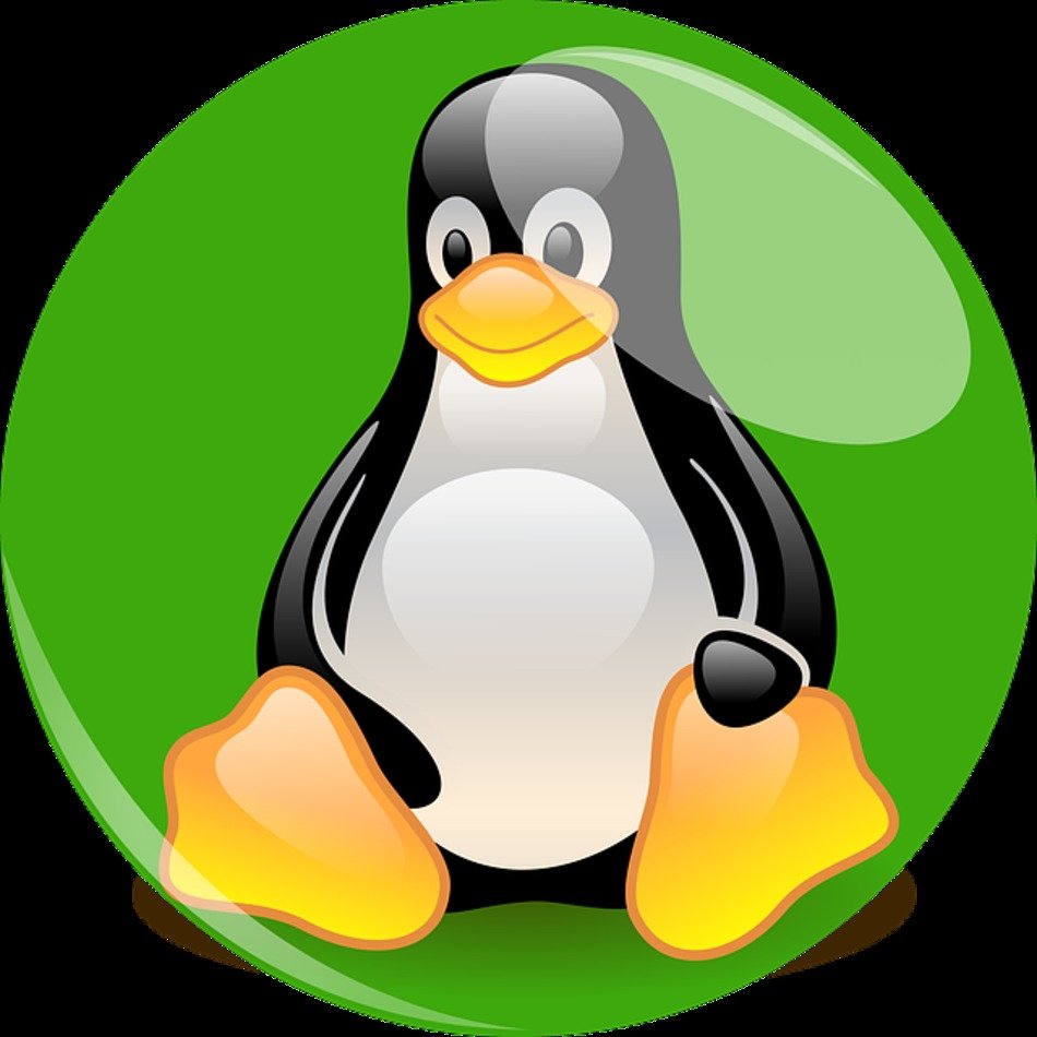 Penguin Linux Mascot Cartoon Character Fig Green
