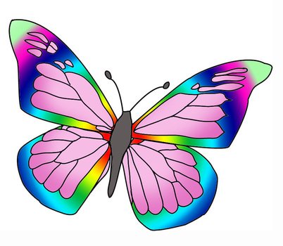 Rainbow Colored Butterfly Image